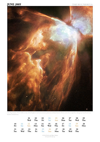 June 2005 - The Bug Nebula