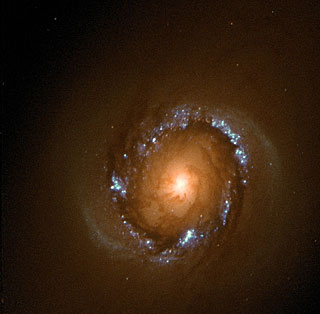 Stellar Ring Galaxy NGC4314