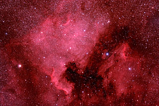 The North American and Pelican Nebulae in Cygnus