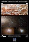 Hubble snaps close-up views of diverse galaxies