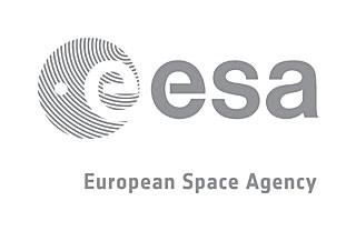 ESA Signature Grey