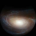 The spiraling vortex of M81