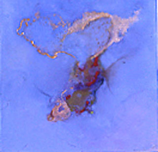 Bird Nebula
