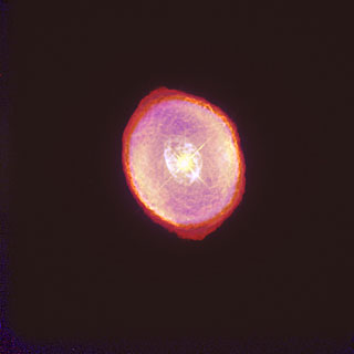 Spiro Nebula  IC418