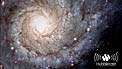 Hubblecast 11: A grand design in a galactic festoon