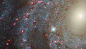 Pan on NGC 3344